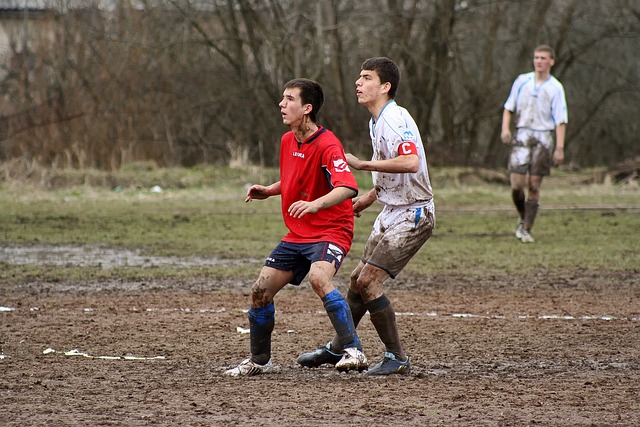 复古？多特球迷提议将球队队徽换回上世纪曾使用过的经典风格